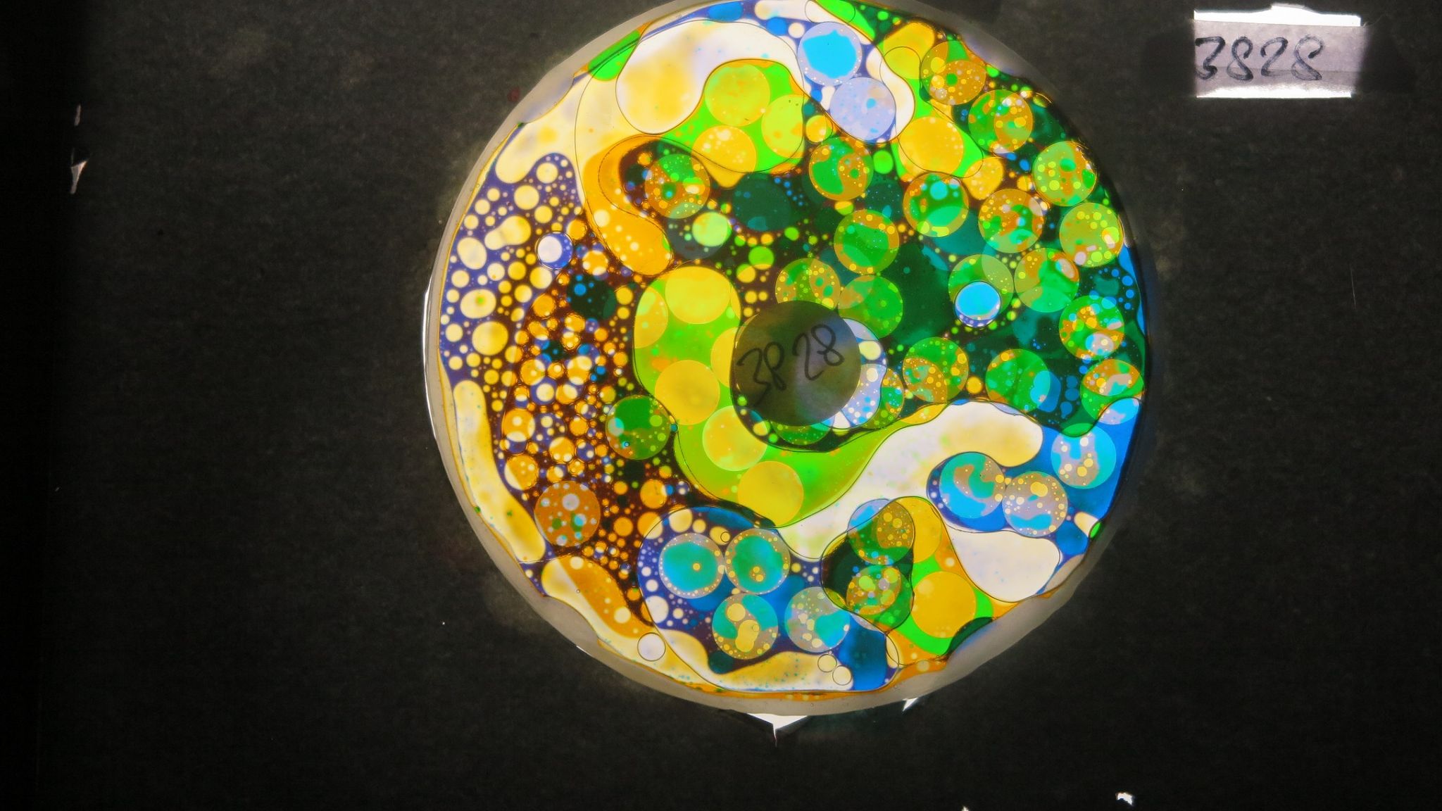 BV3828 bubble vision oil wheel